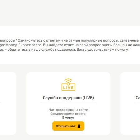Dragon Money (Драгон Мани) – как работает техподдержка